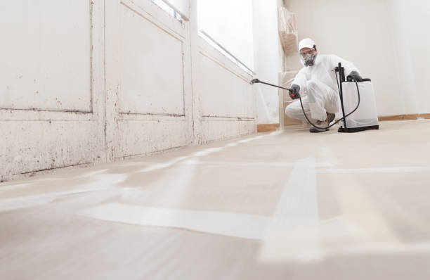 24/7 Emergency Mold Testing experts in Nokesville, VA